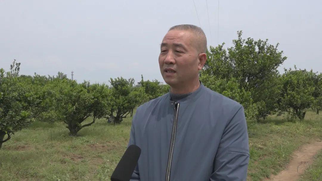 医药不入gdp_格格不入图片