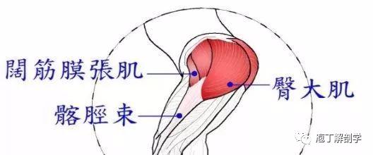 髋,股,膝外侧疼痛——阔筋膜张肌髂胫束损伤