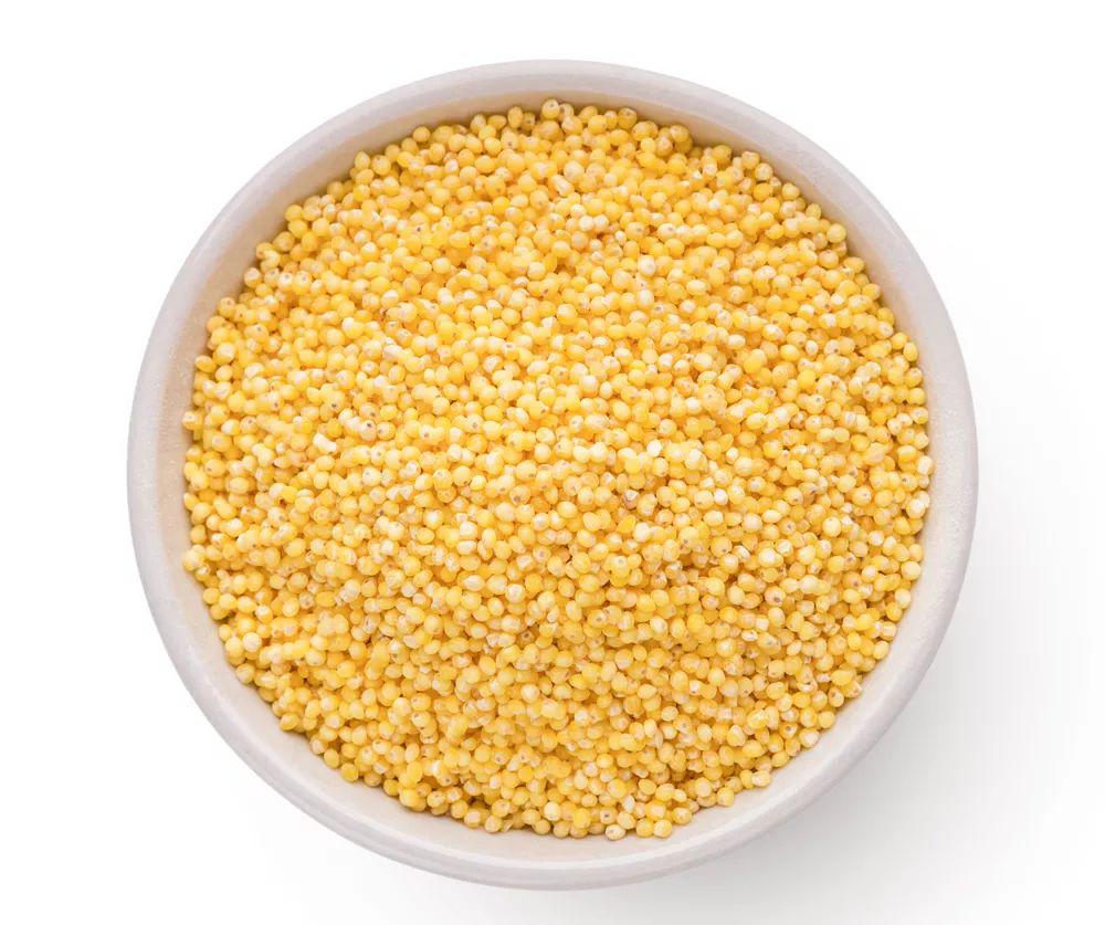 小米属于大米吗 409952c515c8456c925acd5adfa196b0.jpeg