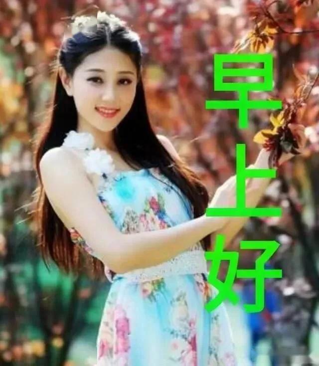 早上好祝福语大全表情 早上好问候语 晚上好的问候