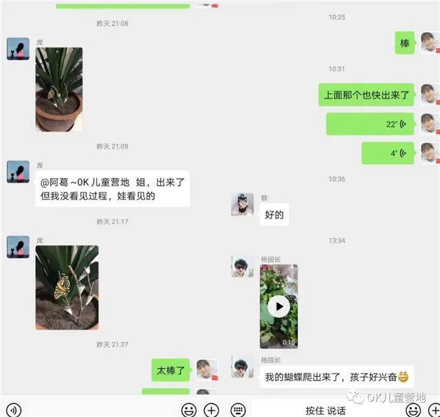 魔法盒@仅售48元/套，让我们跟孩子一起见证生命的奇迹！自然魔法盒丨蝴蝶观察套装限时抢购