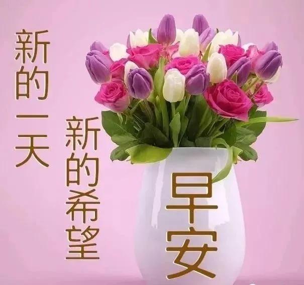 祝你早安简谱_祝你早安午安晚安视频(3)