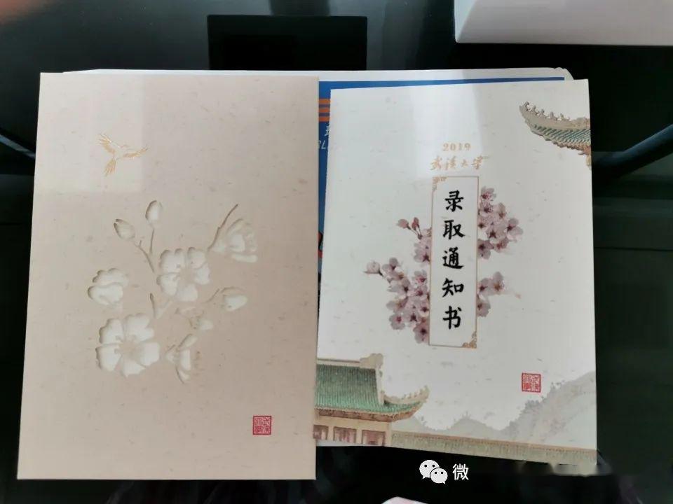 【语文】高考649分学姐: 希望我踩过的这些坑, 你们千万别再掉进去!