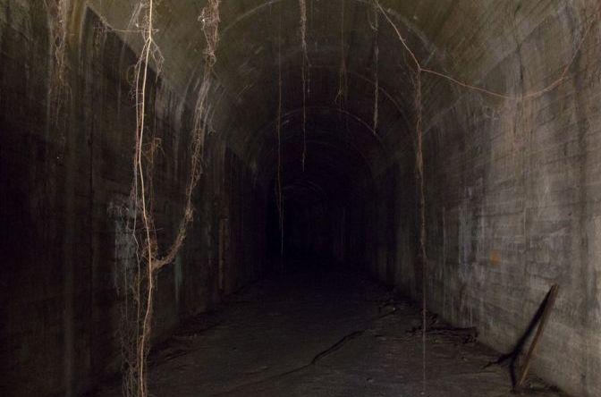 未解之谜第二季第3集 54626460ab614a579ab19ef0d1863900.jpeg