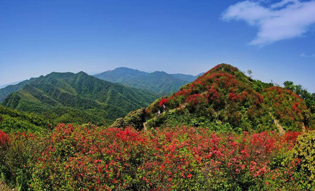 萍乡6条绝美旅游路线!承包你整个五一假期!