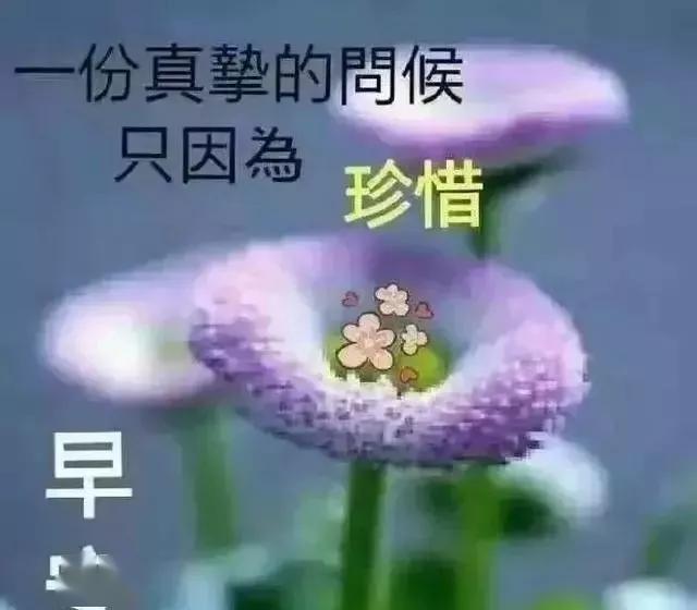 生活简单就迷人,人心简单就幸福,早安