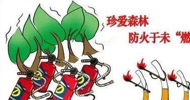 五一已至,请收好这份森林防火安全提示!