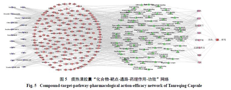 基于网络药理学的痰热清胶囊治疗新型冠状病毒肺炎(co