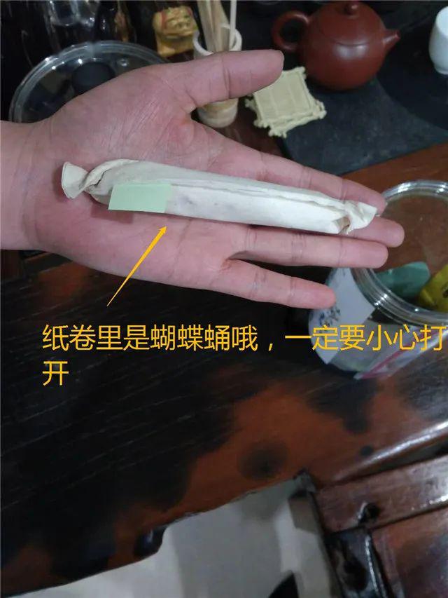 魔法盒@仅售48元/套，让我们跟孩子一起见证生命的奇迹！自然魔法盒丨蝴蝶观察套装限时抢购