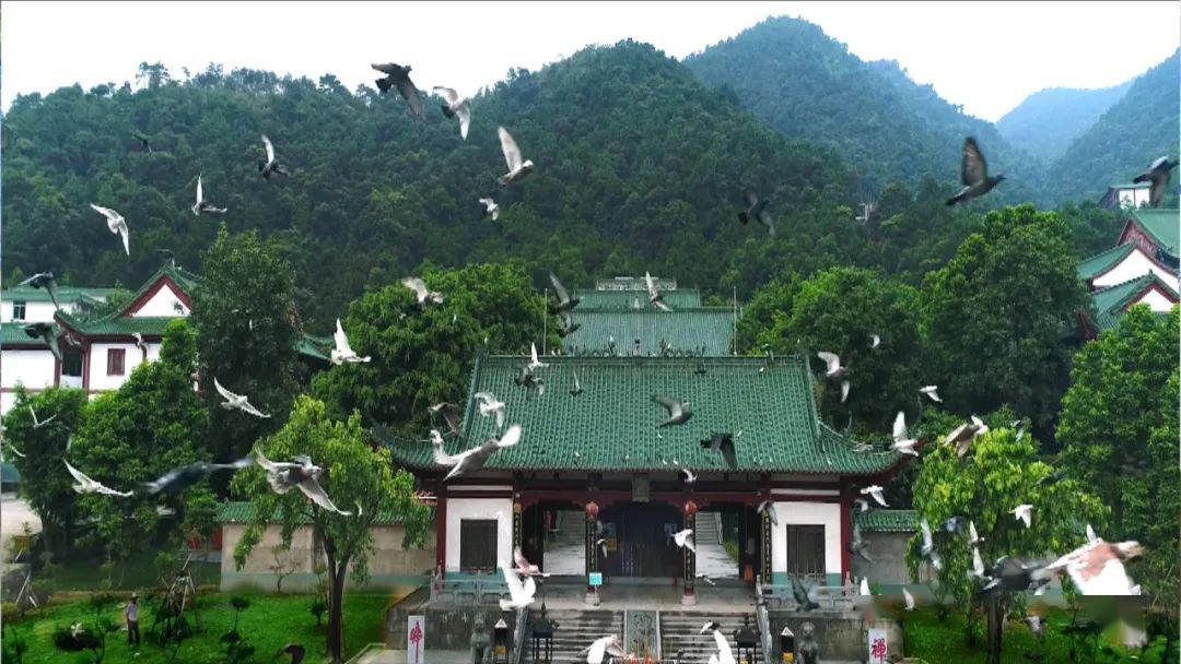 寺贞仙祠,竹林明堂…等众多特色景点拥有公益文化主题公园,天音阁