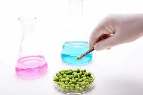 食品防腐剂哪种最安全 6a61e35f37474589858dc22af72471b2.jpeg