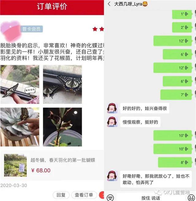 魔法盒@仅售48元/套，让我们跟孩子一起见证生命的奇迹！自然魔法盒丨蝴蝶观察套装限时抢购