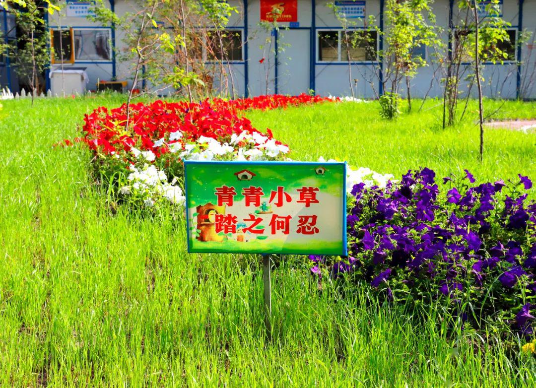 安全文明标准化亮点展示,2020年做工程的样板!