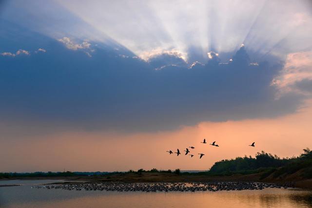 田勇|刘先银逻辑分析《老子·六十七章》的命题，题赠田勇：慈，故能勇