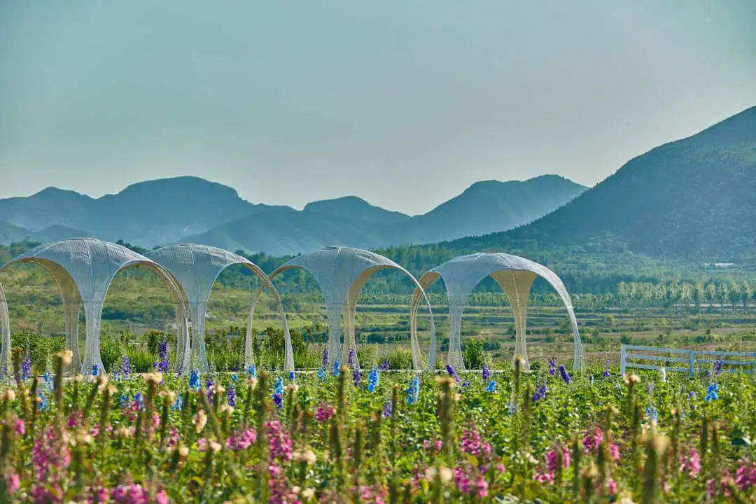 周边景点情况:韩村河天开花海,韩村河景区公园,天开寺景区,长沟国家