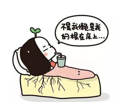 大学生为什么5月份还需要返校 这3点理由太真实了 请看下面 效率