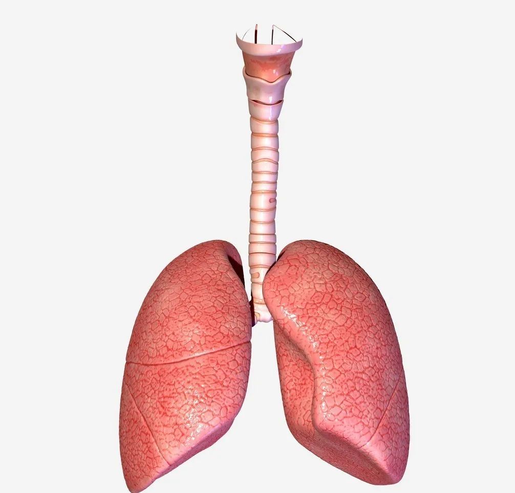 肺不好的人,会出现4种表现,占上一个,最好检查一下肺ct!