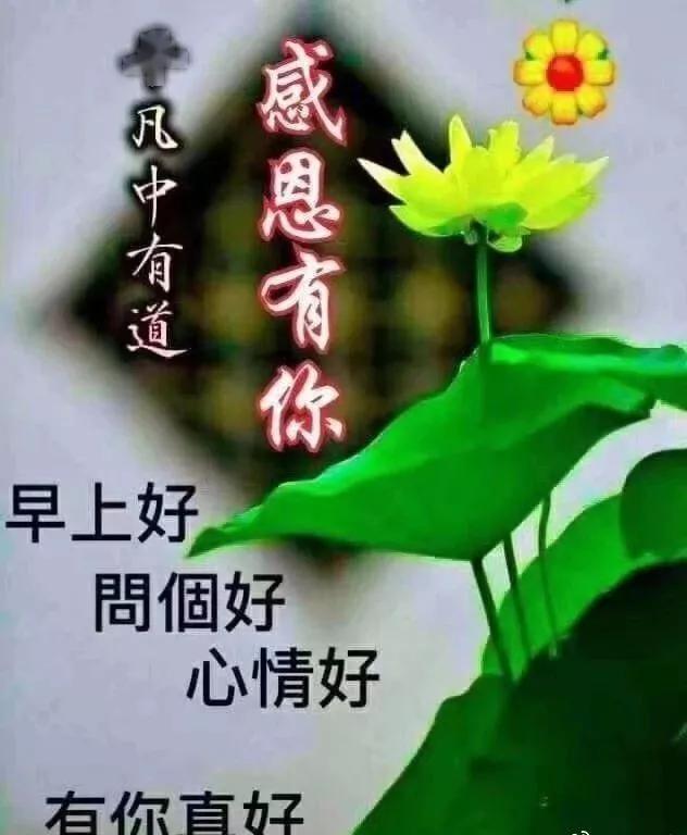 8da671cf60594c7d8fcb6723c971a7d2.jpeg