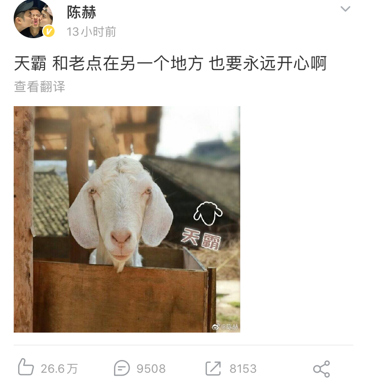 一只羊难产而死上了热搜，陈赫还发文悼念_微博