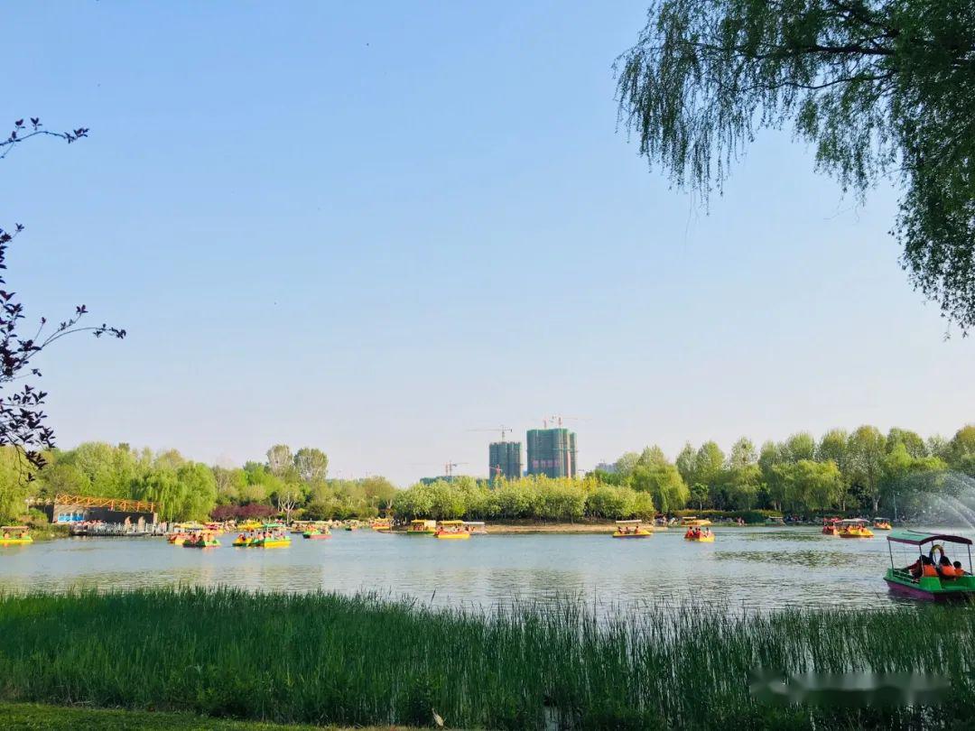 雕塑公园游玩tips 地址:郑州高新技术产业开发区化工路与西三环