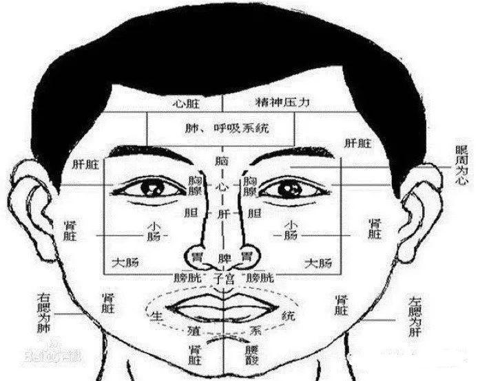 ↓不同长痘位置,对应不同身体问题 ↓高荣荣的抗痘过程
