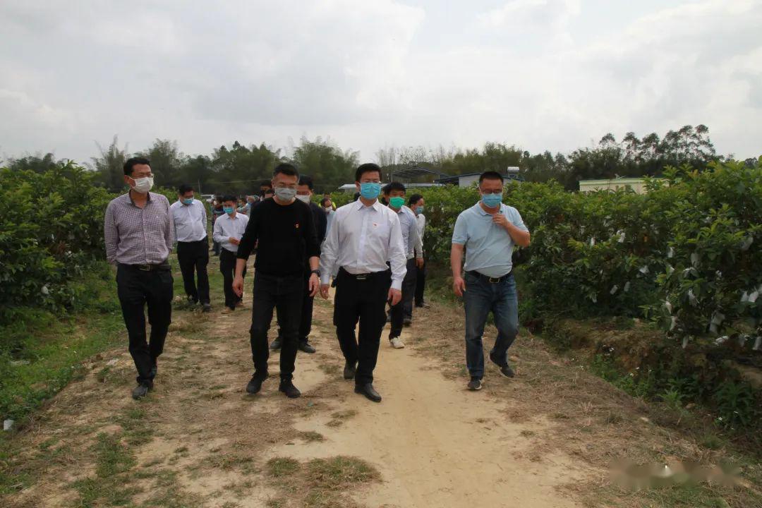 博白县2018经济总量_博白县地图(2)