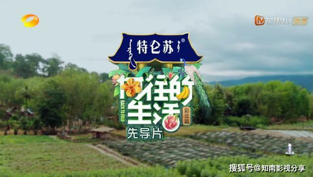 蘑菇屋第一季免费全集 a7d3998b4ab74e48922481ba4165e92b.jpeg