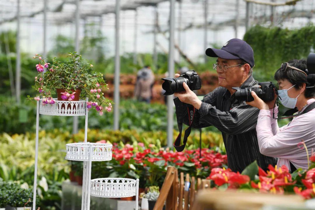 谯城区摄影家协会的摄影家们30多位迎来很多摄影大咖亳州市植物科普园