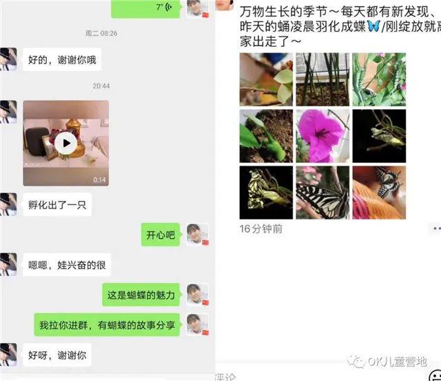 魔法盒@仅售48元/套，让我们跟孩子一起见证生命的奇迹！自然魔法盒丨蝴蝶观察套装限时抢购