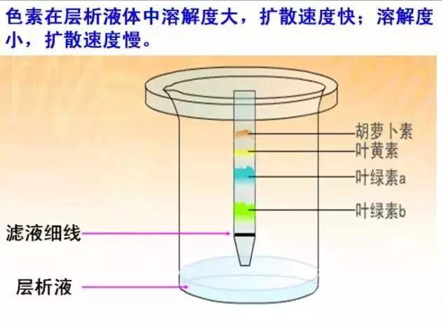 g点液什么原理(2)