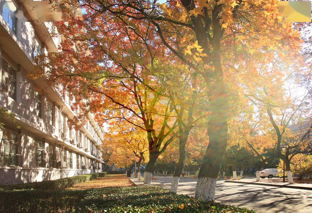 【独家重磅】北京大学医学部:加入北大医学 一起点亮医学的浩瀚星空
