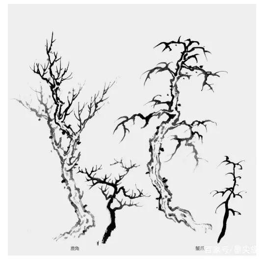 树鳞树枝树根树叶以及组合树的画法