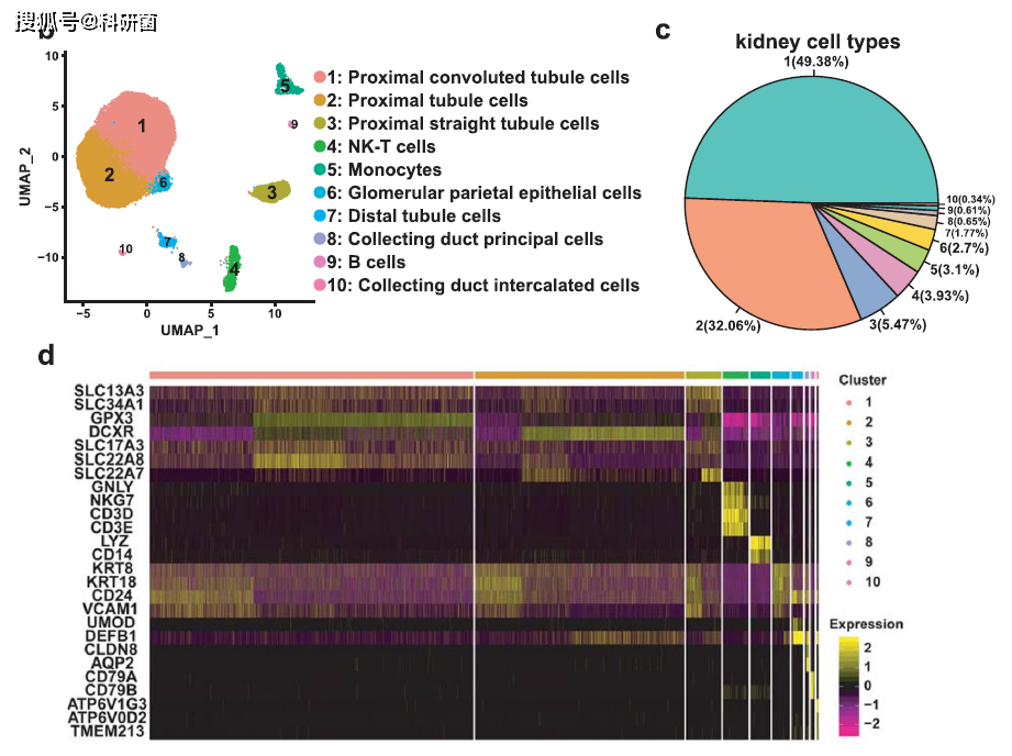 仅3个单细胞测序样本纯分析也发6分！_scRNA-seq