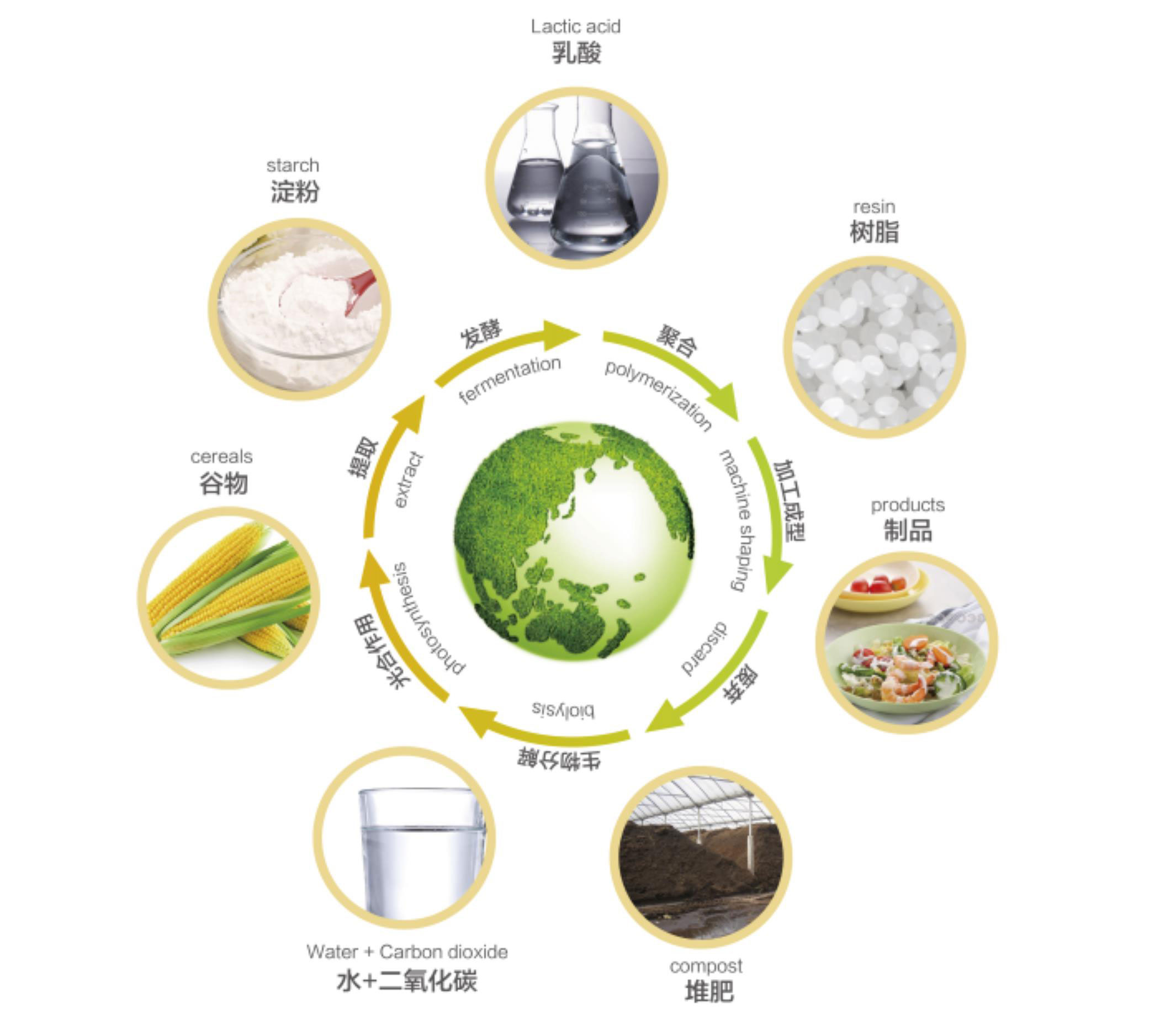 生物塑料可堆肥可降解从今天的塑料走向可持续的未来