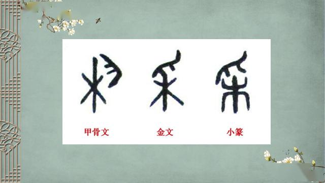 第2498期慧眼看课张凯丽诗经关雎课堂实录