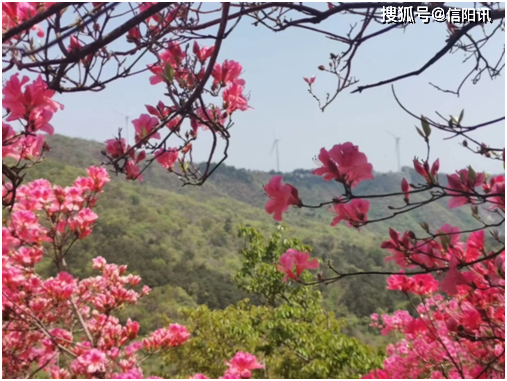 广东汉剧百里奚认妻中集唱段曲谱