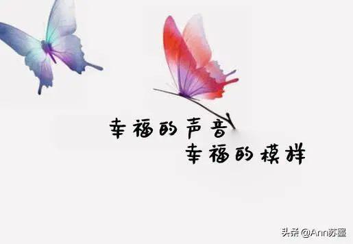 bfc8bc949339410d97aaf3516705f74c.jpeg