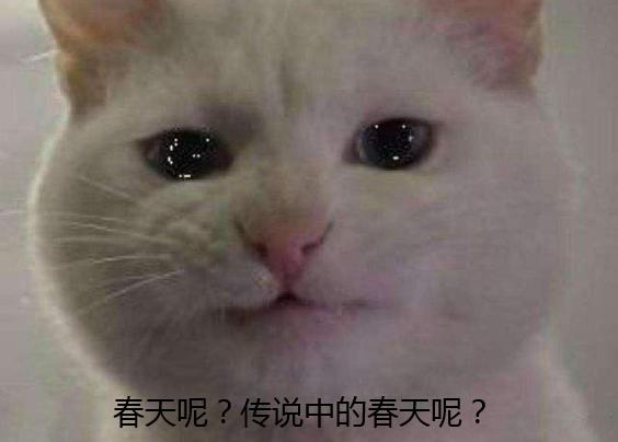 c10399f8c76f4c3abdac32db0a0afd91.jpeg