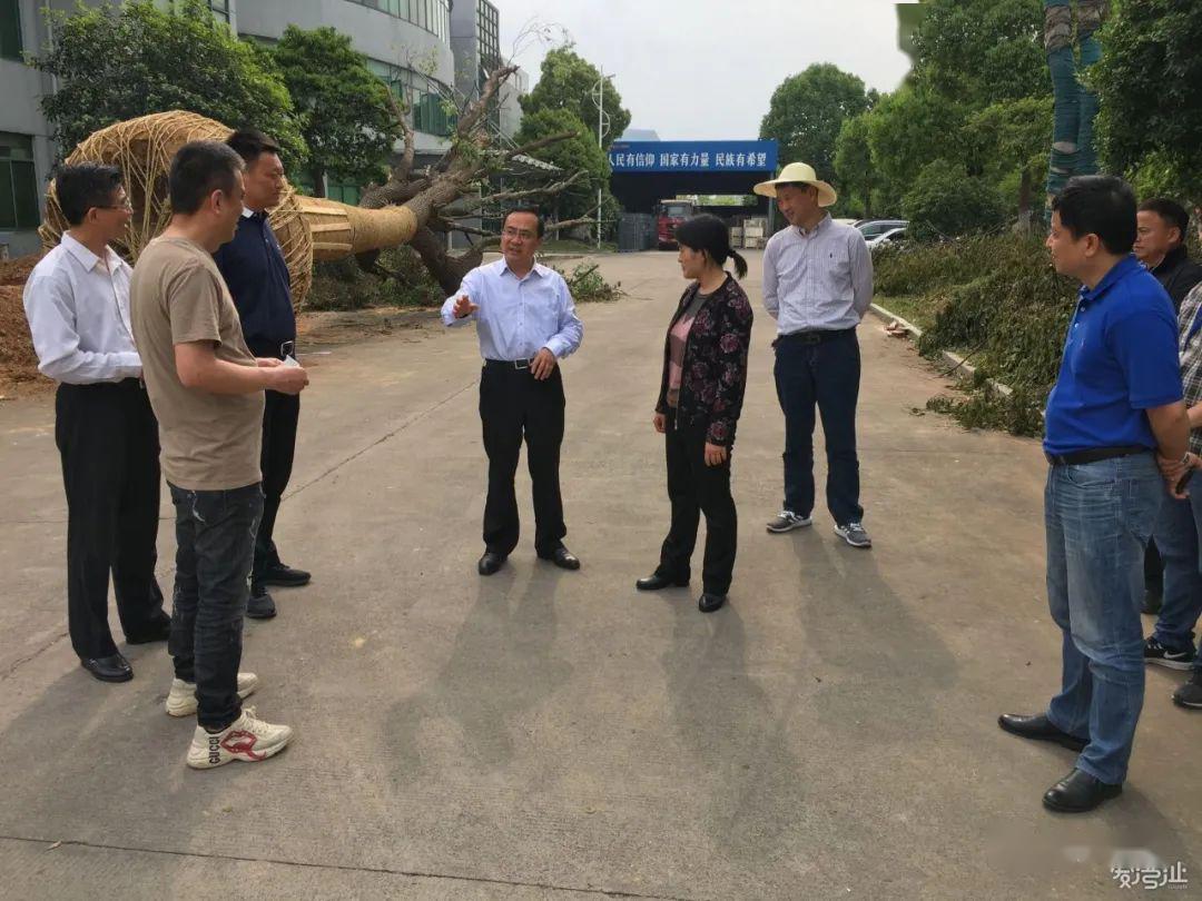 张峰一行先后前往六郎湿地花海,芜湖禾田汽车工业有限公司,南湖学校