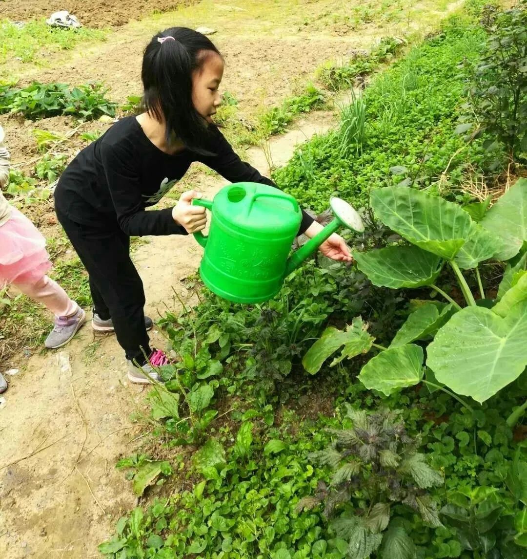 劳动最光荣孩子们的五一劳动剪影