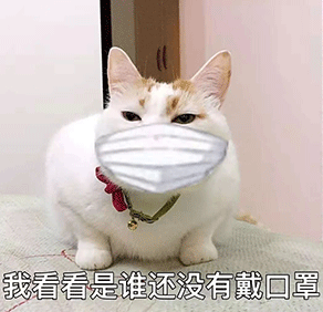 d7a91590861f44b582f015af360c80d4.png