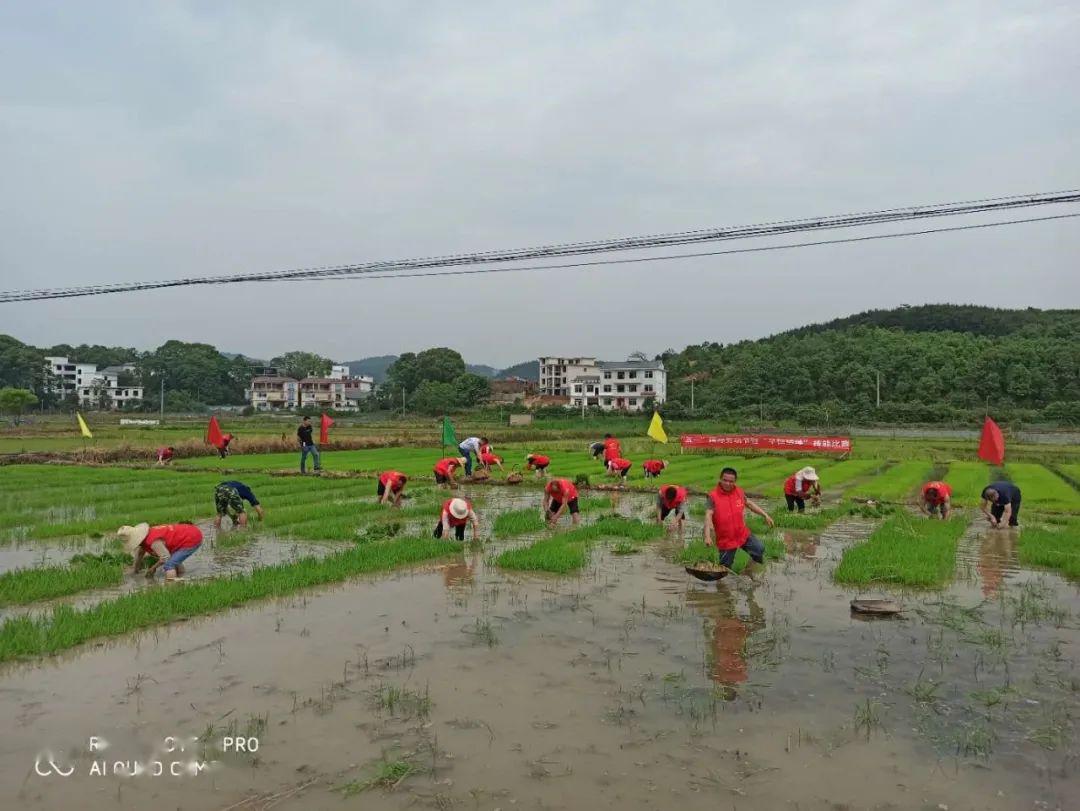 袁州区湖田镇人口总数_宜春市袁州区慈化镇