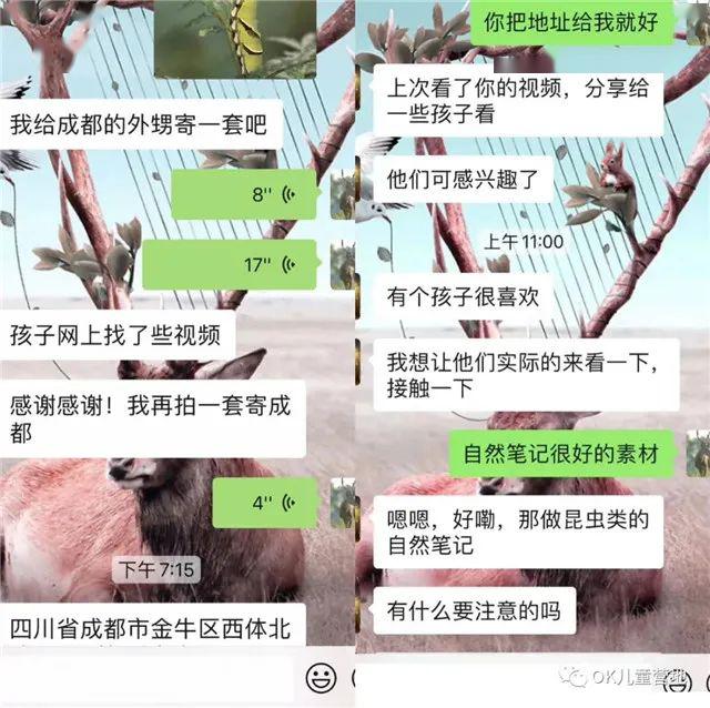 魔法盒@仅售48元/套，让我们跟孩子一起见证生命的奇迹！自然魔法盒丨蝴蝶观察套装限时抢购