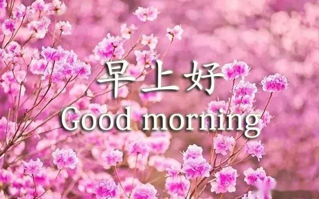 早上好祝福语大全表情 早上好问候语 晚上好的问候