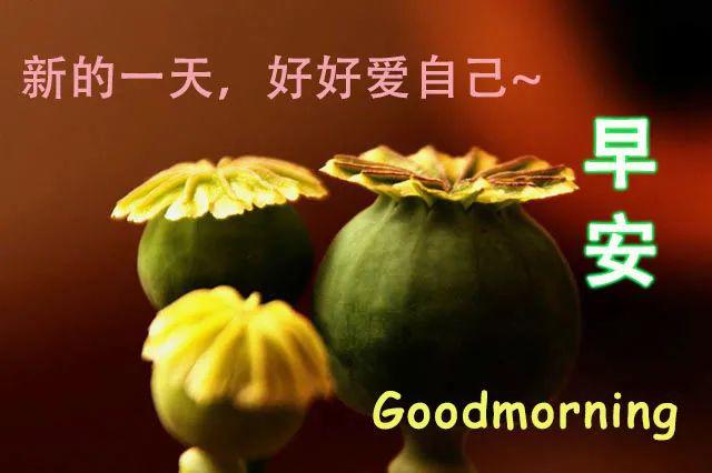 非常漂亮的早上好群发问候动态表情图片,朋友圈最新微信表情祝福句子