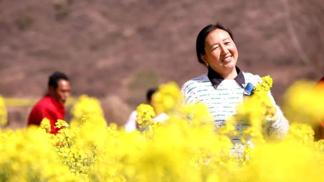 预告如意甘肃我的家枕山臂江深闺文县三阴平文脉