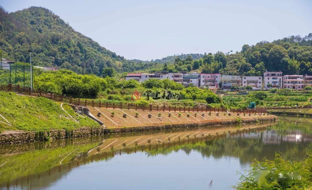 先河村河堤经过整治提升,一片岸绿景美的图景.