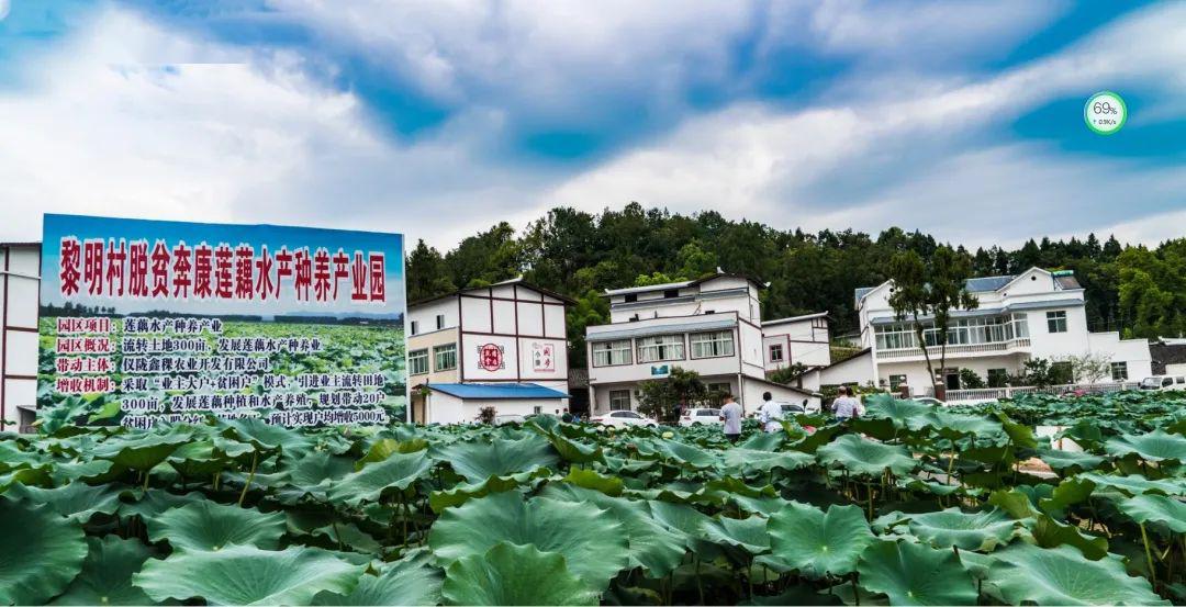 黎明村人口_十里铺黎明村