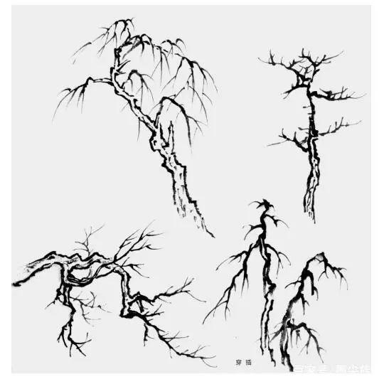 树鳞树枝树根树叶以及组合树的画法