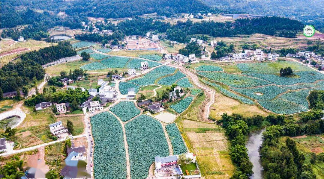 黎明村人口_十里铺黎明村(2)